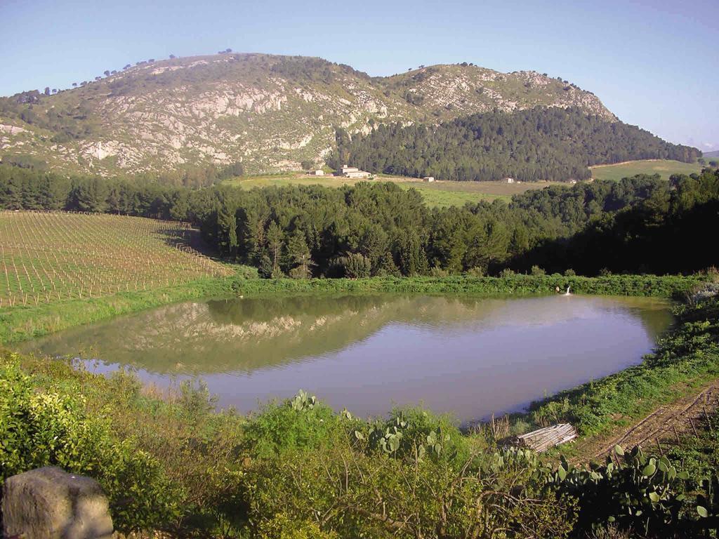 Вилла Agriturismo Tenute Pispisa Segesta Калатафими Экстерьер фото