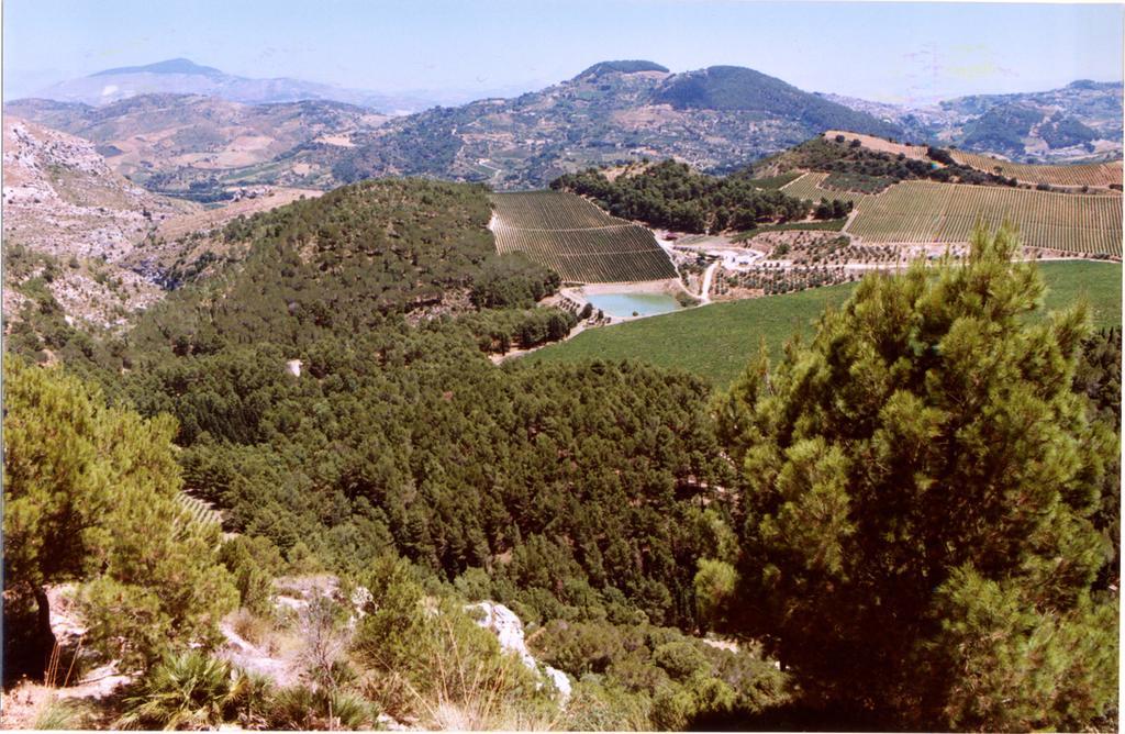 Вилла Agriturismo Tenute Pispisa Segesta Калатафими Экстерьер фото